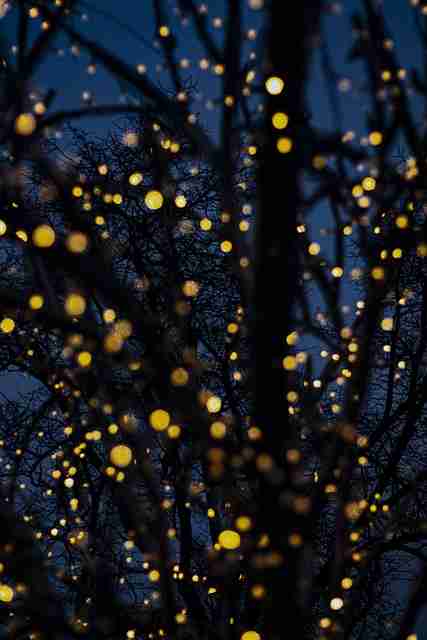 海角网页版互动玩法·跨界合作必读