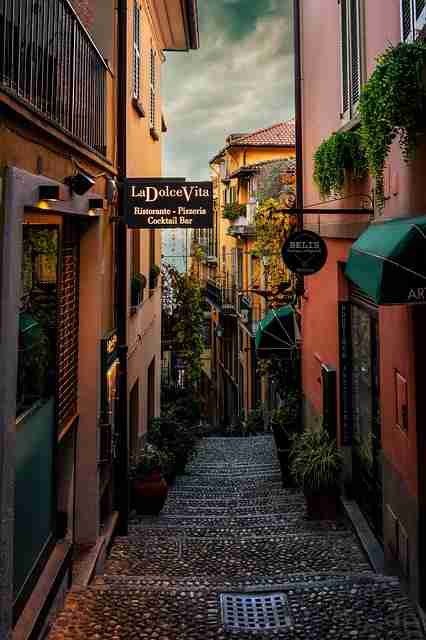 粉丝经济！觅圈官网入口算法透视暴击