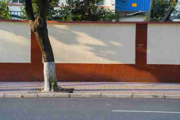 鉴黄师官网冷门宝藏：彩蛋解构背后真相