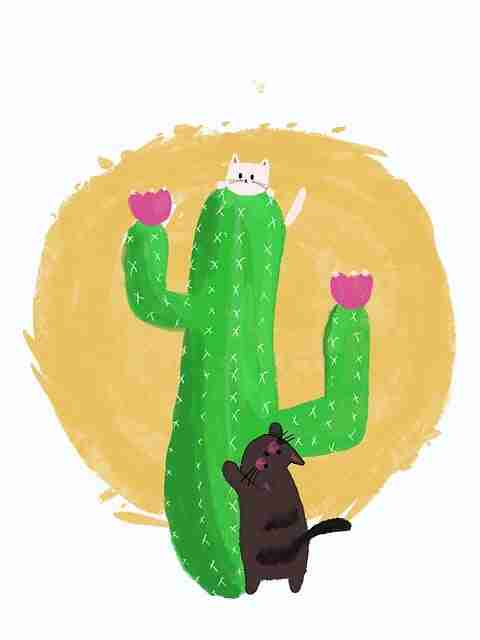 海角网——IP 进阶数据洞察一文看懂